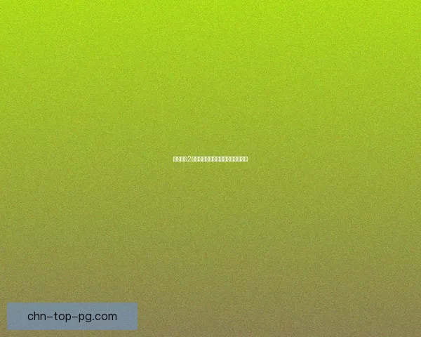 火炬之光2控制台使用指南及常见问题解答解析